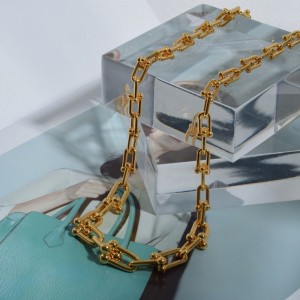 Dikke ketting ketting vrouwelijk Europa en de Verenigde Staten ins Light luxeniche hoefijzer buckle sleutelbeen ketting